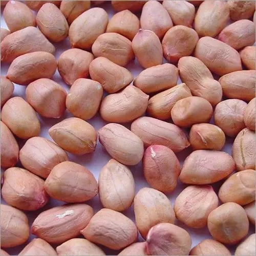 groundnut-500x500